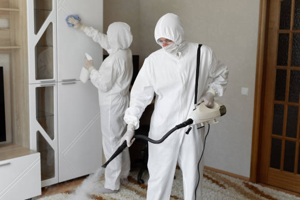 Certified Mold Removal in Claymont, DE